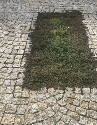 Kostka granitowa, szaro-żółta, łupana